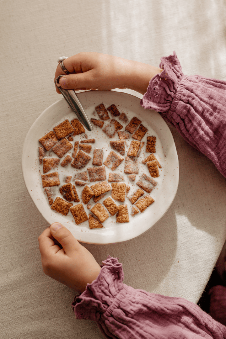 Cinnamon Cereals - Turtle - Better Breakfast!